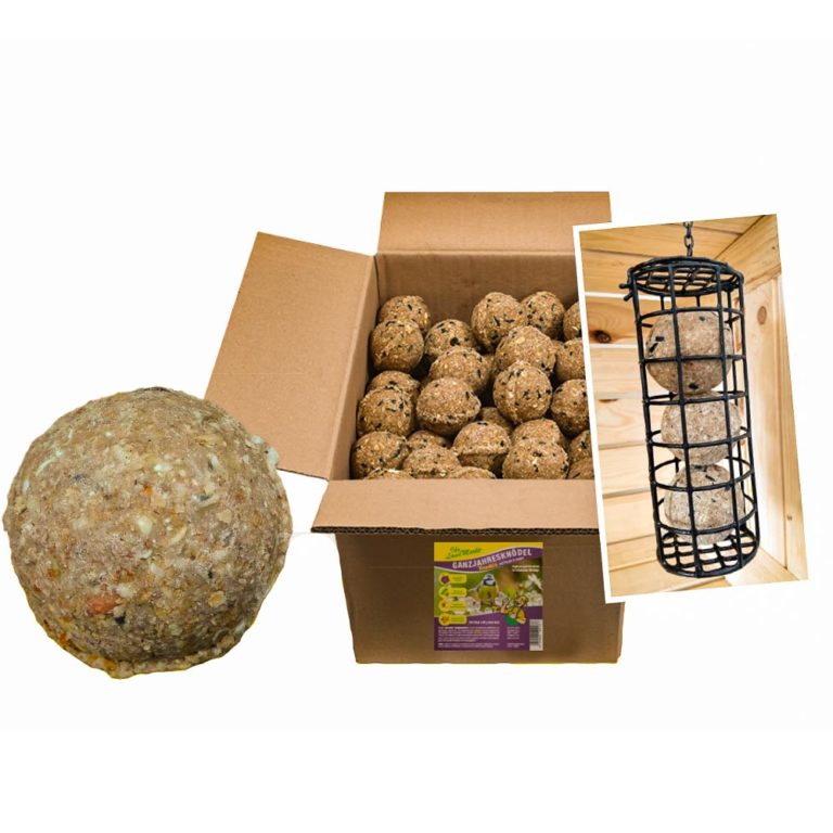 KNACKIS-ilm-seite-farb-und-helligkeit